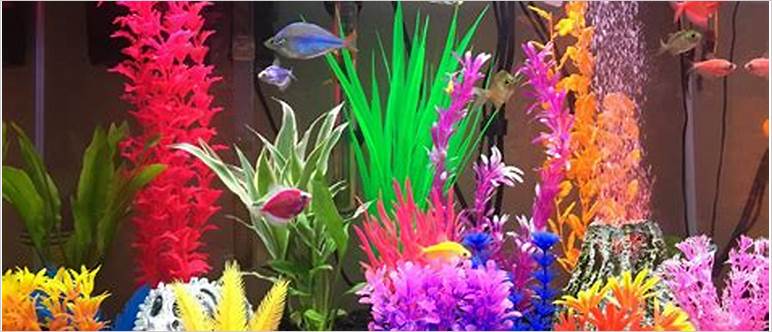 aquarium decorations for tropical fish