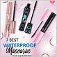 best waterproof mascara for swimming