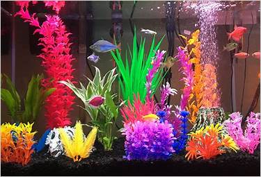 aquarium decorations for tropical fish