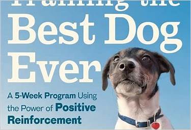 best dog training books 2024